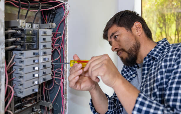 Best Electric Panel Repair  in Banks Springs, LA
